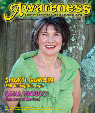 Shakti Gawain - Still Shining the light Dana Micucci Sojouns of the soul
