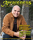 Joe Vitale the quest for miracles through ho'oponopono Lessons from a zen garden paradise in plain sight